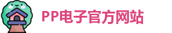pp电子
